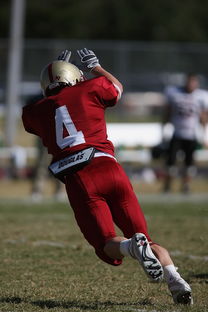 开云体育官网app-五大联赛的魅力：不同国家球队的差异化风格，5大联赛球队综合实力排名