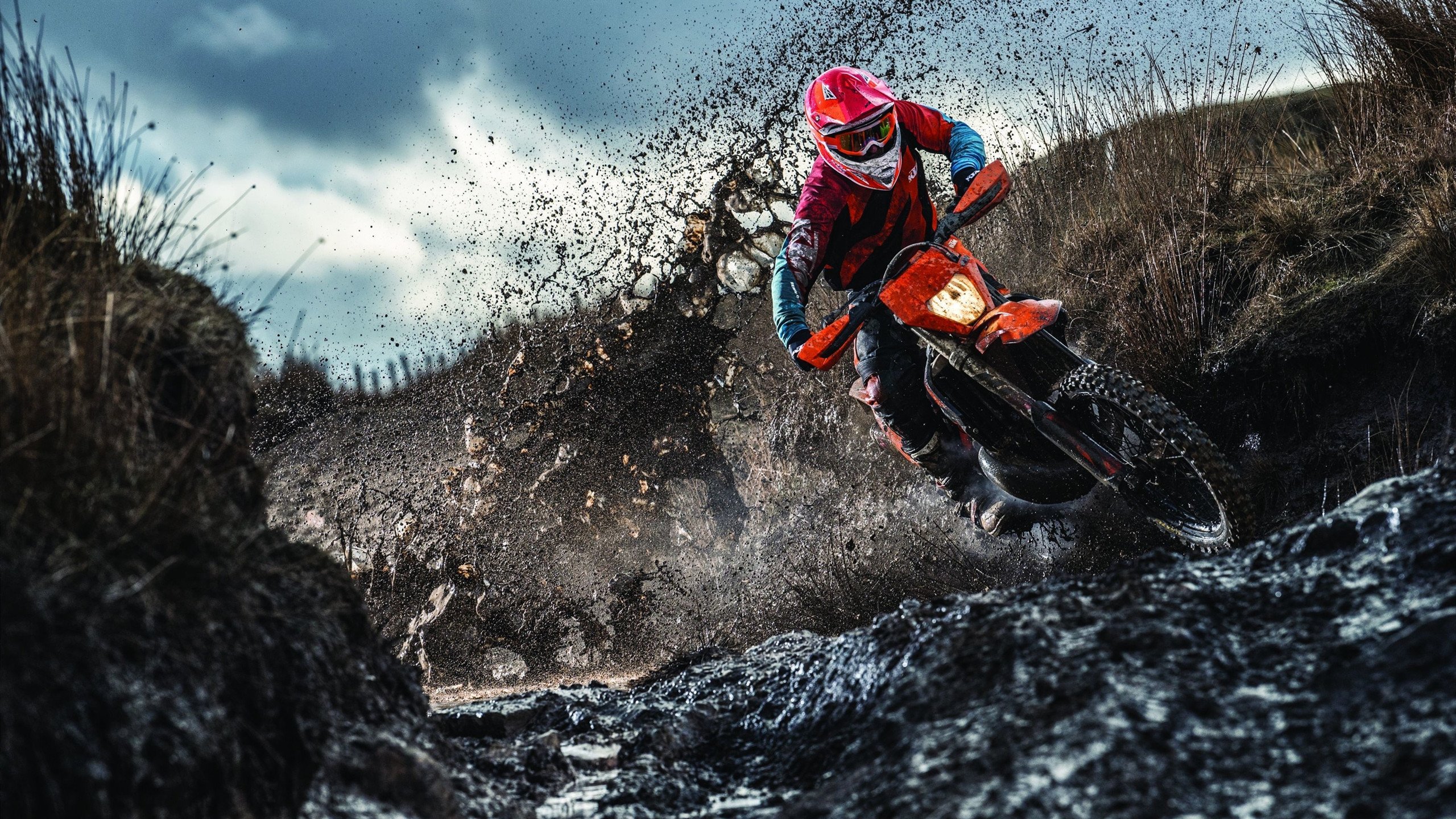 体育新闻中心协办青少年运动科普内容创作营，青少年体育科技创新大赛